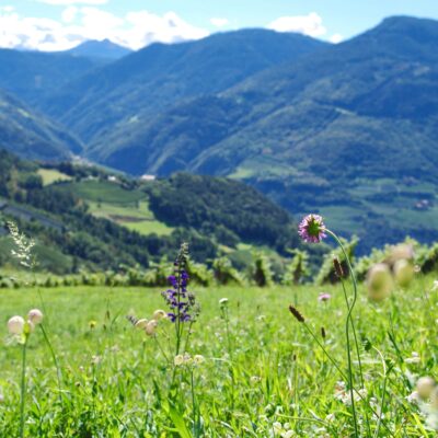 Valle Aurina: l’Alto Adige low cost tra natura e tradizioni
